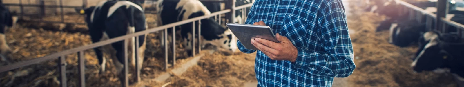 Carreira no Agronegócio: Áreas de atuação e oportunidades