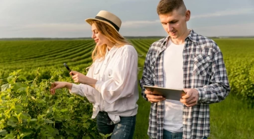 Carreira no Agronegócio: Áreas de atuação e oportunidades