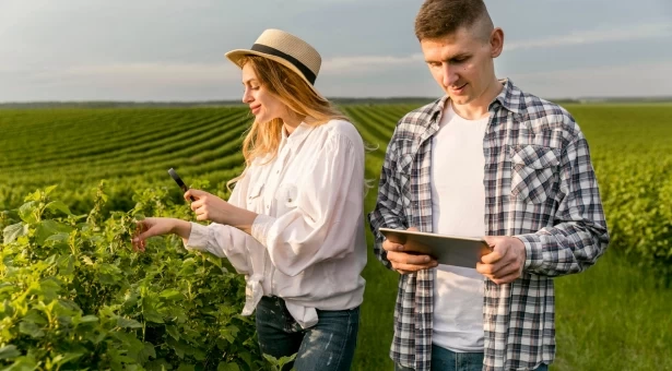 Carreira no Agronegócio: Áreas de atuação e oportunidades